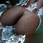 belle femme noire du 59 sans petite culotte